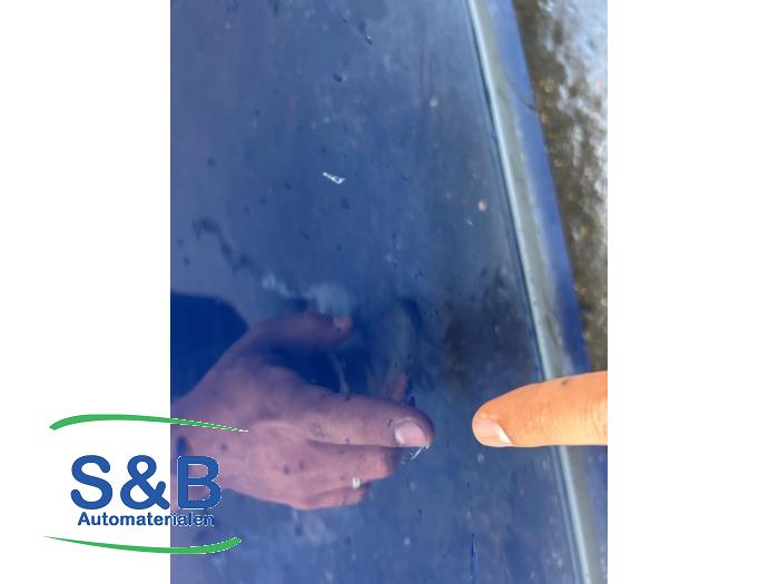 Skoda Fabia II Combi 1.2 TDI 12V Greenline Sloopvoertuig (2011, Blauw)