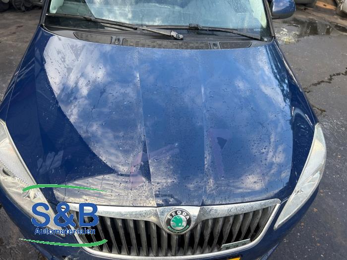 Skoda Fabia II Combi 1.2 TDI 12V Greenline Sloopvoertuig (2011, Blauw)