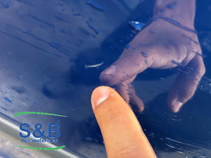 Skoda Fabia II Combi 1.2 TDI 12V Greenline Sloopvoertuig (2011, Blauw)