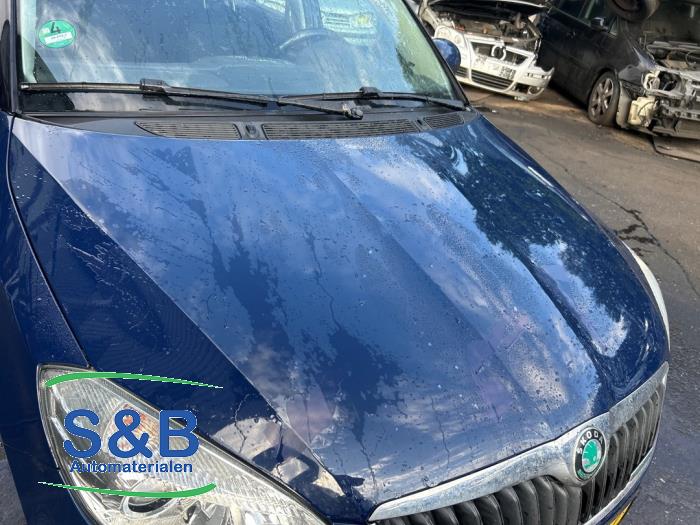 Skoda Fabia II Combi 1.2 TDI 12V Greenline Sloopvoertuig (2011, Blauw)