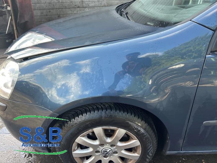 Volkswagen Golf V 1.6 FSI 16V Sloopvoertuig (2005, Blauw)