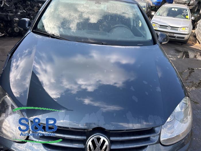Volkswagen Golf V 1.6 FSI 16V Sloopvoertuig (2005, Blauw)