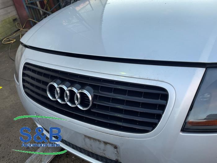 Audi TT 1.8 20V Turbo Sloopvoertuig (1999, Licht, Grijs, Zilvergrijs)