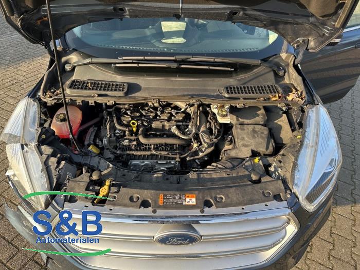 Ford Kuga II 1.5 EcoBoost 16V 150 Schadevoertuig (2018, Blauw)