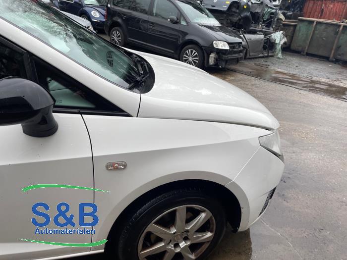 Seat Ibiza IV 1.2 TDI Ecomotive Sloopvoertuig (2010, Wit)