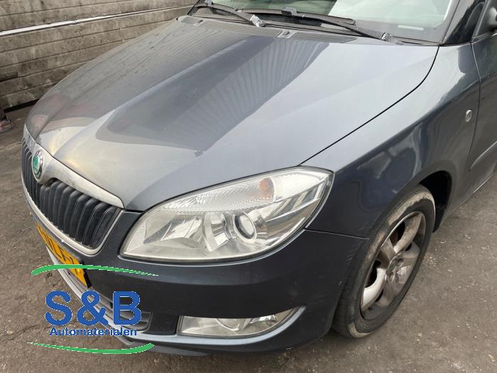 Skoda Fabia II Combi 1.2 TDI 12V Greenline Sloopvoertuig (2010, Grijs, Blauw)