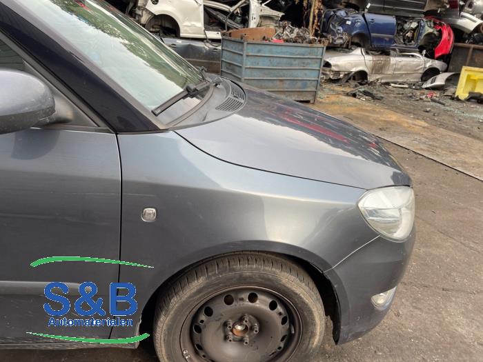 Skoda Fabia II Combi 1.2 TDI 12V Greenline Sloopvoertuig (2010, Grijs, Blauw)