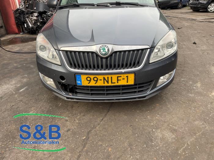 Skoda Fabia II Combi 1.2 TDI 12V Greenline Sloopvoertuig (2010, Grijs, Blauw)