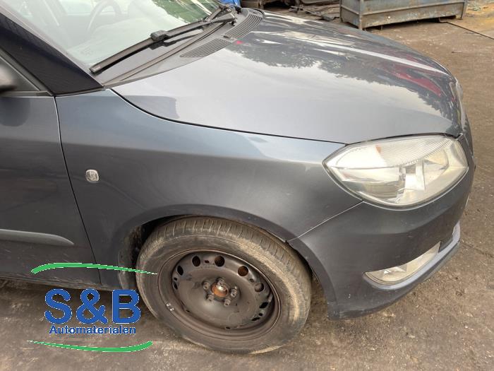 Skoda Fabia II Combi 1.2 TDI 12V Greenline Sloopvoertuig (2010, Grijs, Blauw)