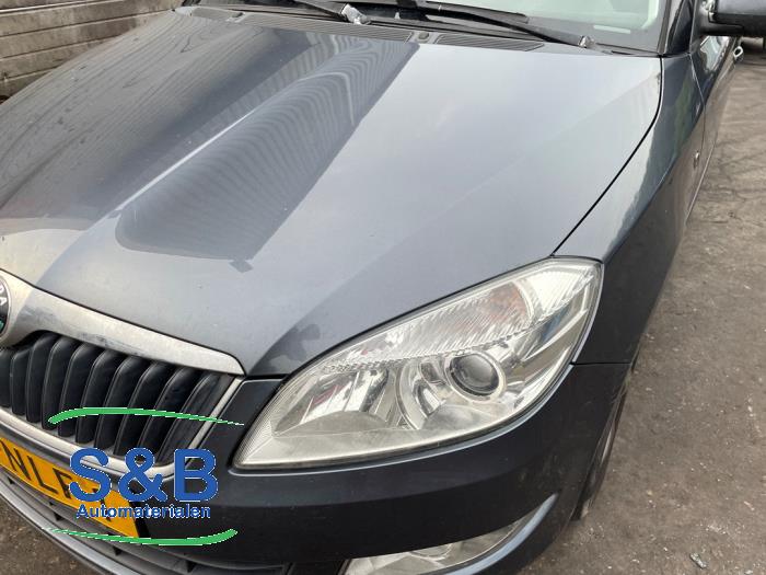 Skoda Fabia II Combi 1.2 TDI 12V Greenline Sloopvoertuig (2010, Grijs, Blauw)