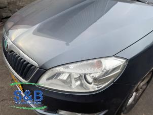 Skoda Fabia II Combi 1.2 TDI 12V Greenline Sloopvoertuig (2010, Grijs, Blauw)