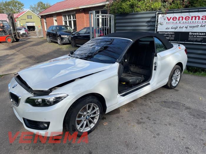 BMW 2 serie 218i 1.5 TwinPower Turbo 12V Sloopvoertuig (2019, Metallic, Wit)