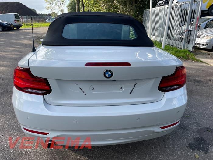 BMW 2 serie 218i 1.5 TwinPower Turbo 12V Sloopvoertuig (2019, Metallic, Wit)