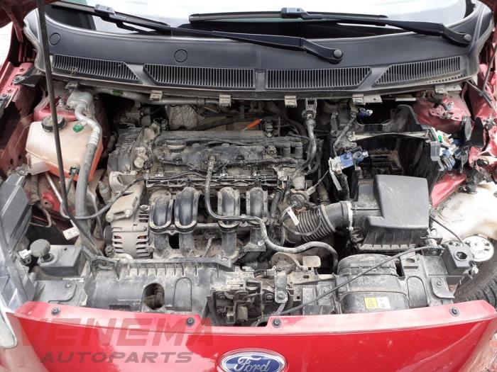 Ford Ka+ 1.2 Ti-VCT Sloopvoertuig (2018, Metallic, Rood)