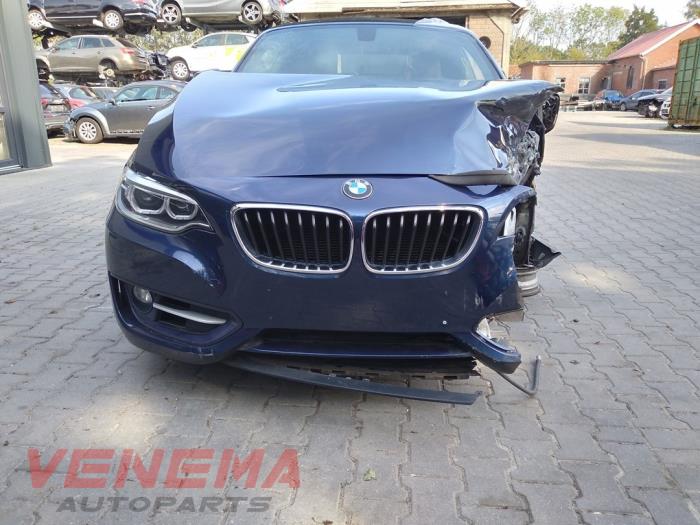 BMW 2 serie 218i 1.5 TwinPower Turbo 12V Sloopvoertuig (2016, Metallic, Blauw)