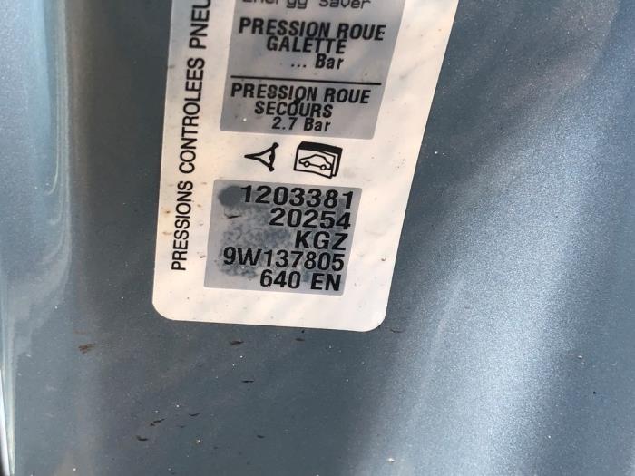 Peugeot 207 SW 1.6 HDi 16V Sloopvoertuig (2010, Licht, Blauw)