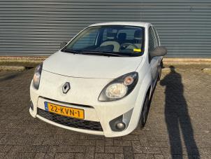 Renault Twingo II 1.2 16V  (Schade)