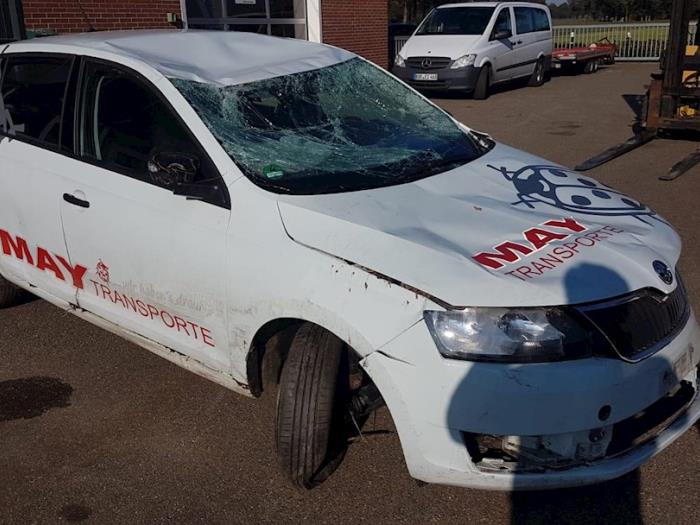 Skoda Rapid 1.6 TDI 16V Sloopvoertuig (2017, Wit)