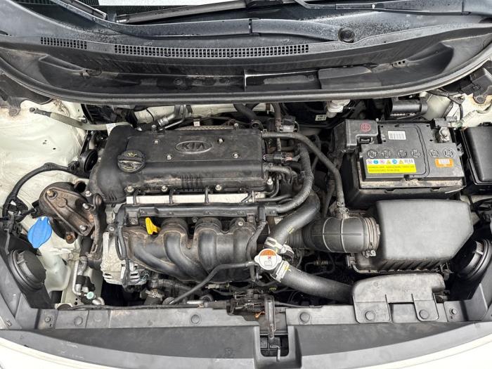 Kia Rio III 1.4 CVVT 16V Occasion (2014, Wit)