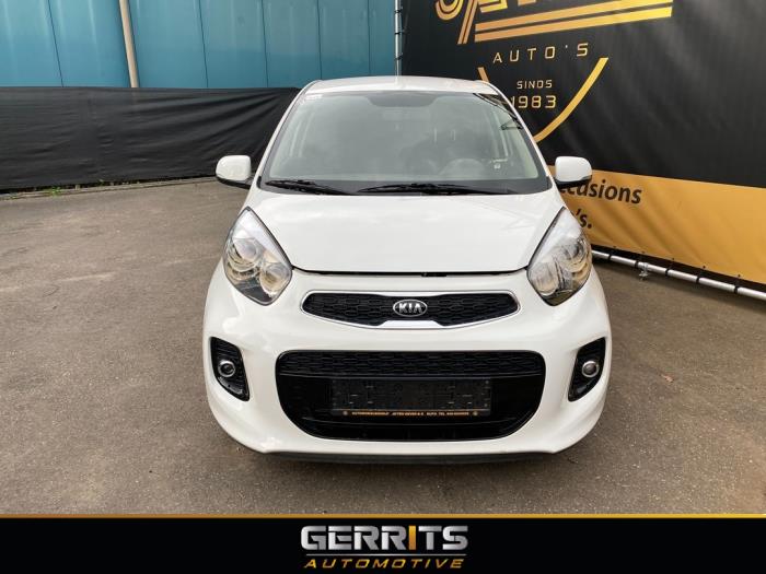 Kia Picanto 1.2 16V Sloopvoertuig (2016, Wit)