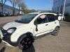 Fiat Panda/Pandina 1.0 Hybrid Sloopvoertuig (2020, Wit)