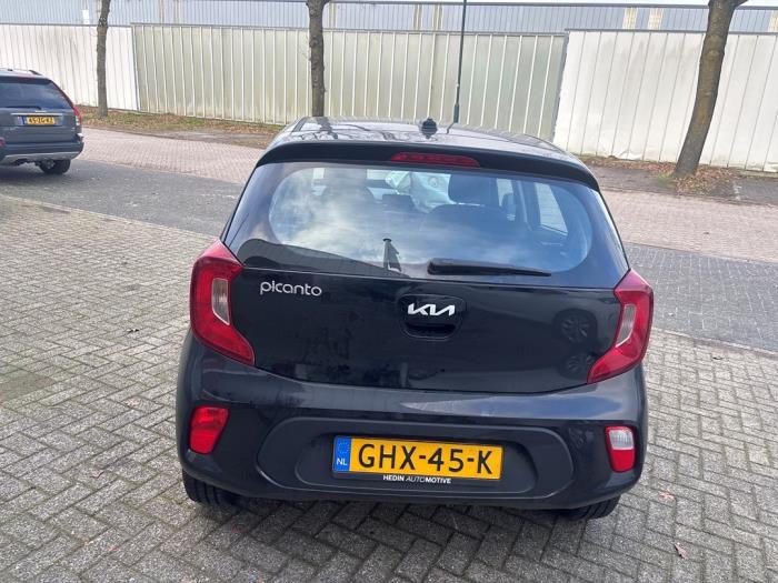 Kia Picanto 1.0 DPI 12V Sloopvoertuig (2024, Zwart)