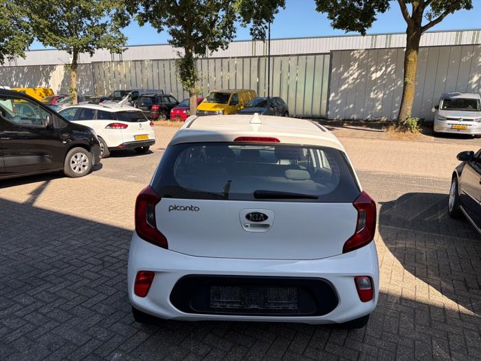 Kia Picanto 1.0 DPi 12V Sloopvoertuig (2020, Wit)