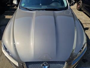 Jaguar XF 3.0 D V6 24V Sloopvoertuig (2012, Grijs)