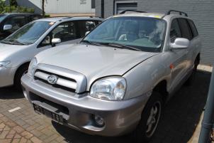 Hyundai Santafe 00-