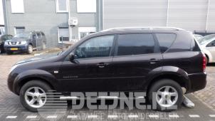 Ssang Yong Rexton 02-