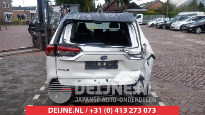 Toyota RAV4 2.5 Hybrid 16V Sloopvoertuig (2019, Wit, Zwart)