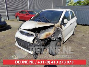 Kia Picanto 11-