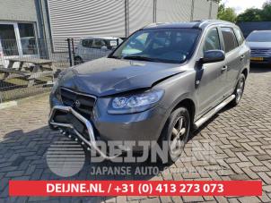 Hyundai Santafe 06-
