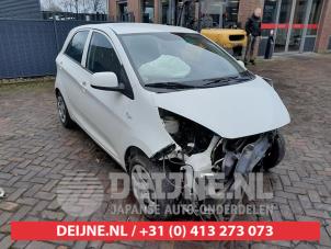 Kia Picanto Grille O585984 Donorvoertuig