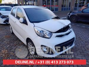 Kia Picanto Stoßstange Bodenplatte O635541 Spenderfahrzeug