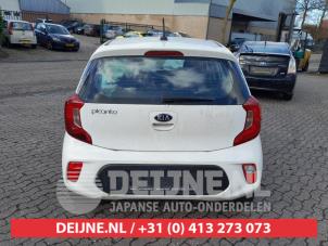 Kia Picanto 17-