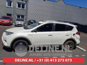 Toyota Rav-4 13-