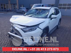 Toyota RAV-4 19-