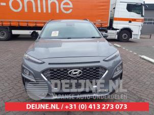 Hyundai Kona 17-