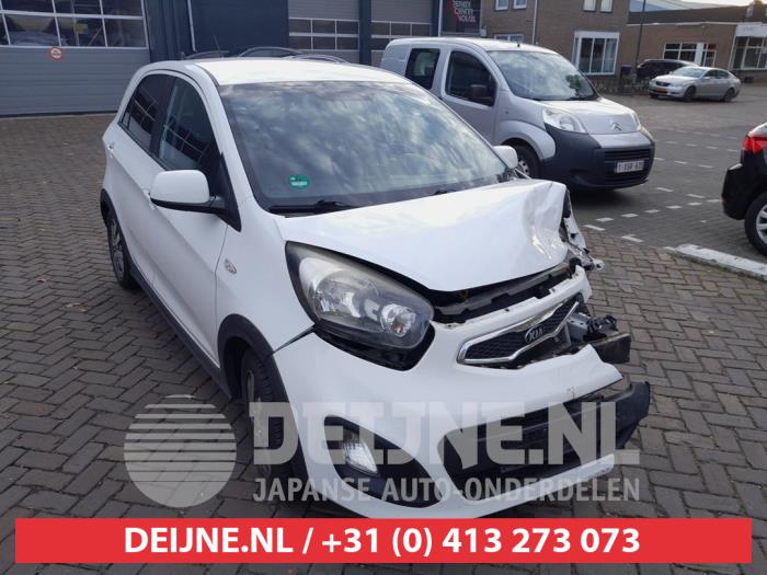 Kia Picanto 1.2 16V Sloopvoertuig (2013, Wit)