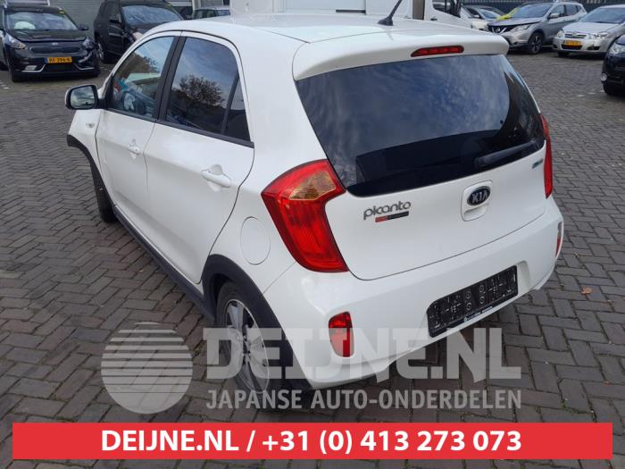 Kia Picanto 1.2 16V Sloopvoertuig (2013, Wit)