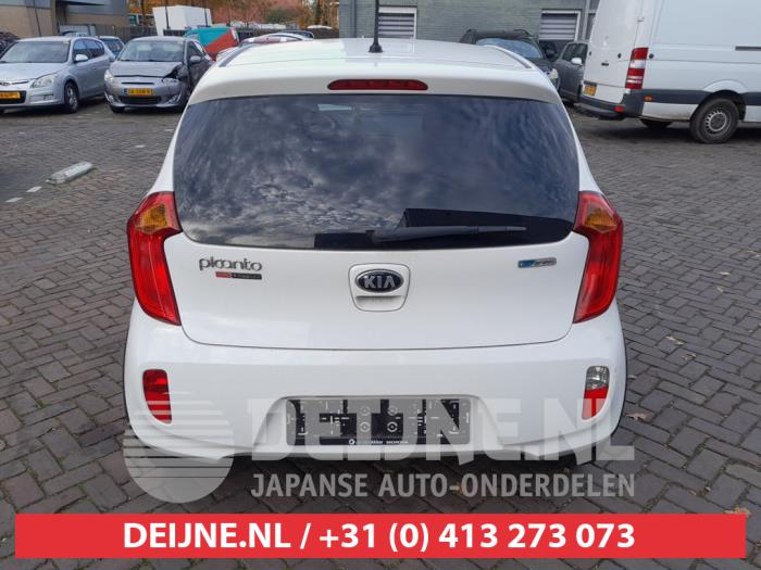 Kia Picanto 1.2 16V Sloopvoertuig (2013, Wit)
