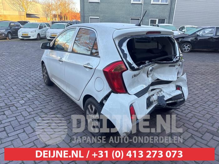 Kia Picanto 1.0 12V Sloopvoertuig (2016, Wit)
