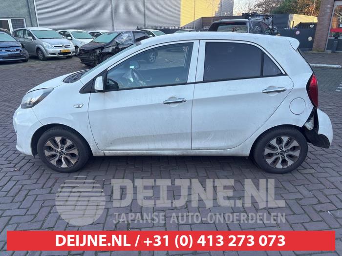 Kia Picanto 1.0 12V Sloopvoertuig (2016, Wit)