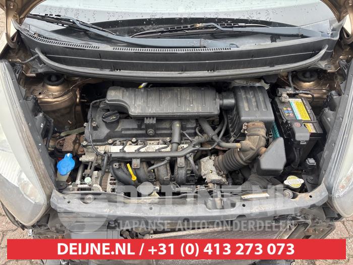 Kia Picanto 1.2 16V Sloopvoertuig (2011, Bruin)