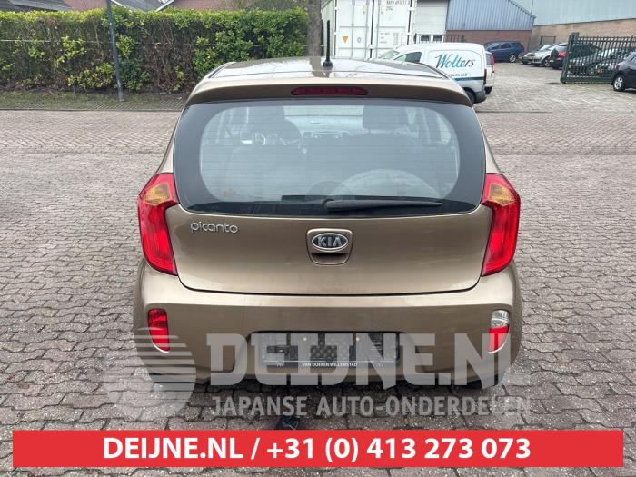 Kia Picanto 1.2 16V Sloopvoertuig (2011, Bruin)