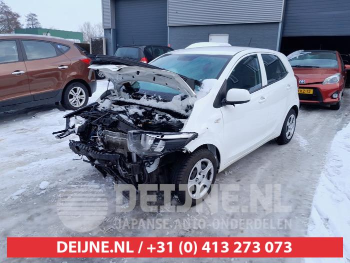 Kia Picanto 1.0 DPi 12V Sloopvoertuig (2021, Wit)