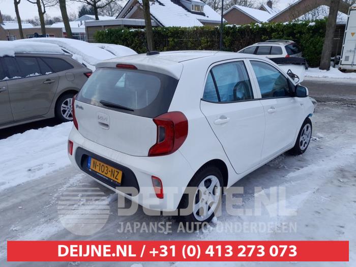 Kia Picanto 1.0 DPi 12V Sloopvoertuig (2021, Wit)