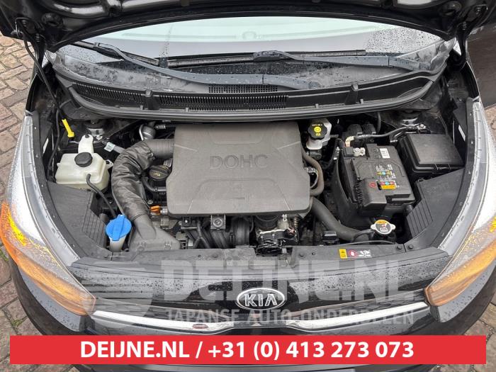 Kia Picanto 1.0 12V Sloopvoertuig (2019, Zwart)
