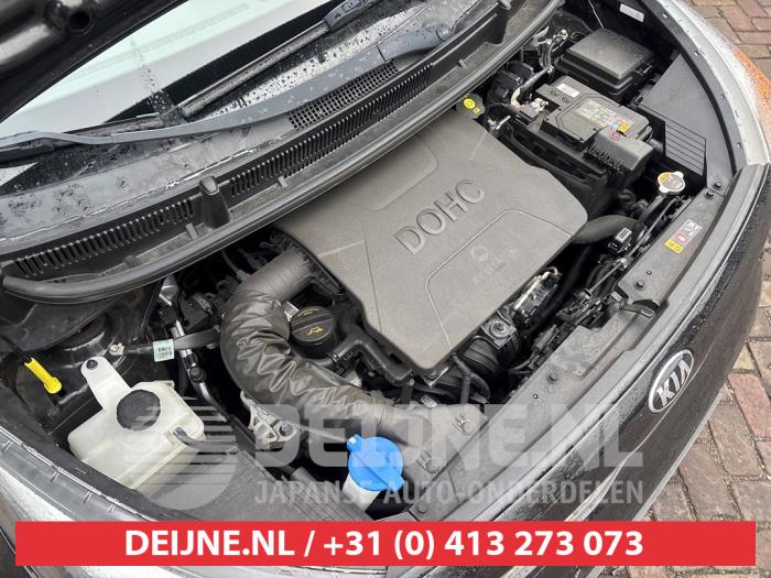Kia Picanto 1.0 12V Sloopvoertuig (2019, Zwart)